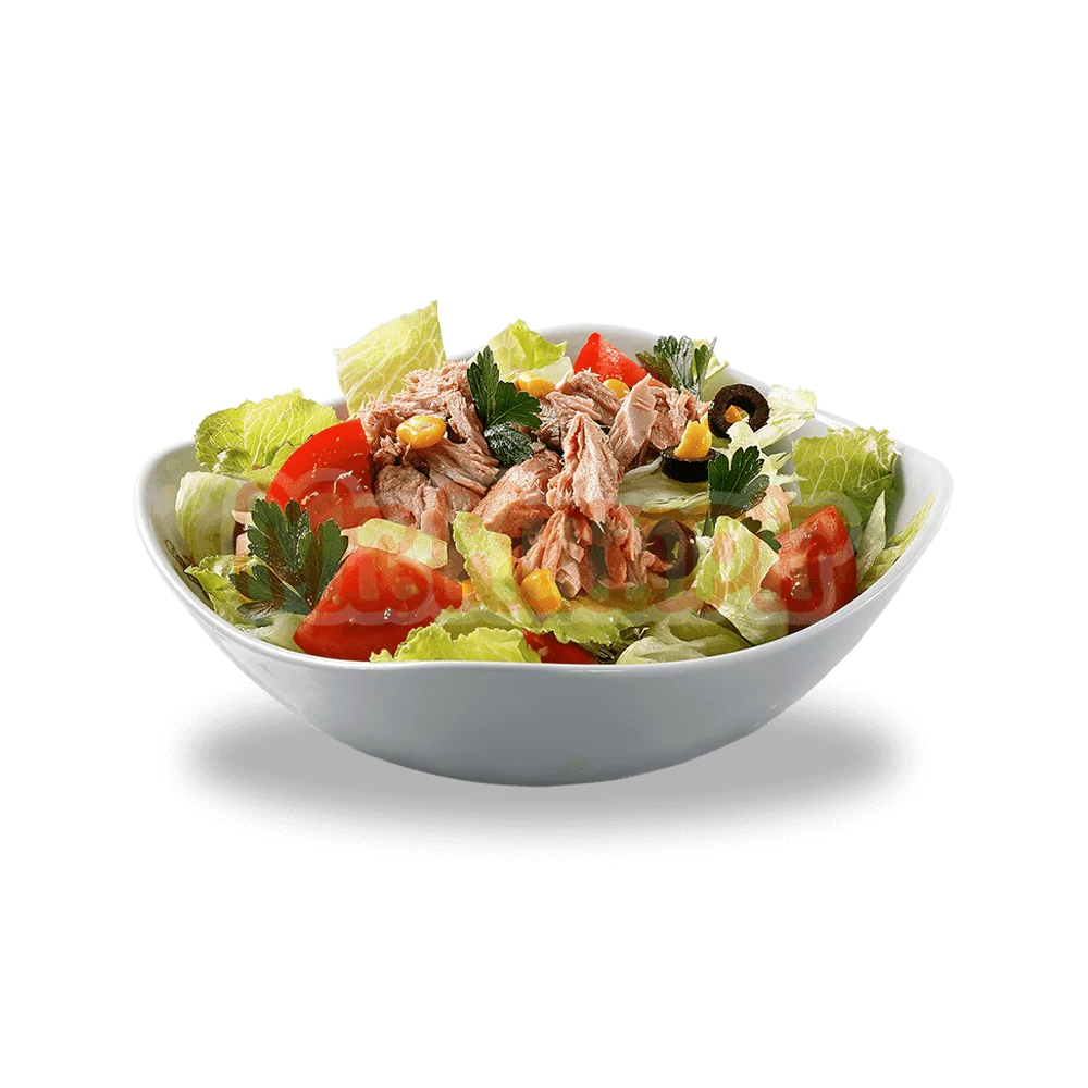 Ton Balıklı Salata